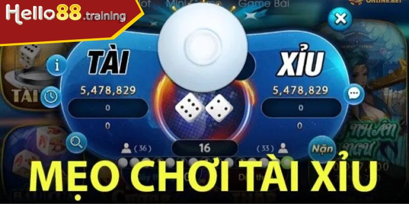 Bí kíp thắng lớn từ chuyên gia