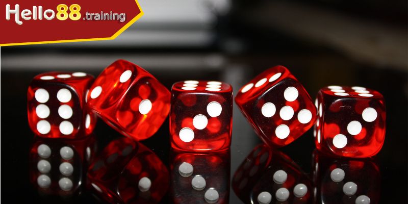 Chi tiết về các cửa cược