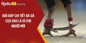 Đá Gà Cựa Dao Là Gì