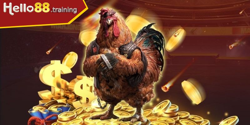 Đôi nét giới thiệu sảnh đá gà Hello88