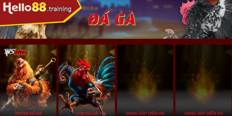 Giao diện đá gà độc đáo