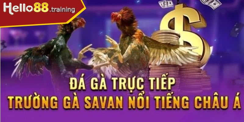 Thời gian thi quy định