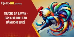Trường Gà Savan Là Gì