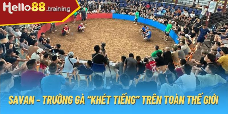 Trường hợp xử phạt